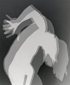 Alexandra Grant: Shadows at ACME